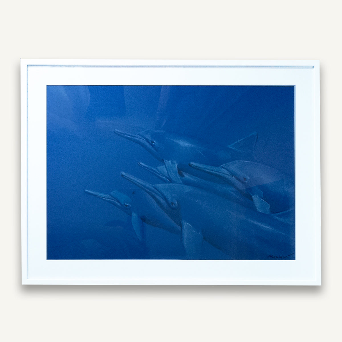 Pack of Dolphins