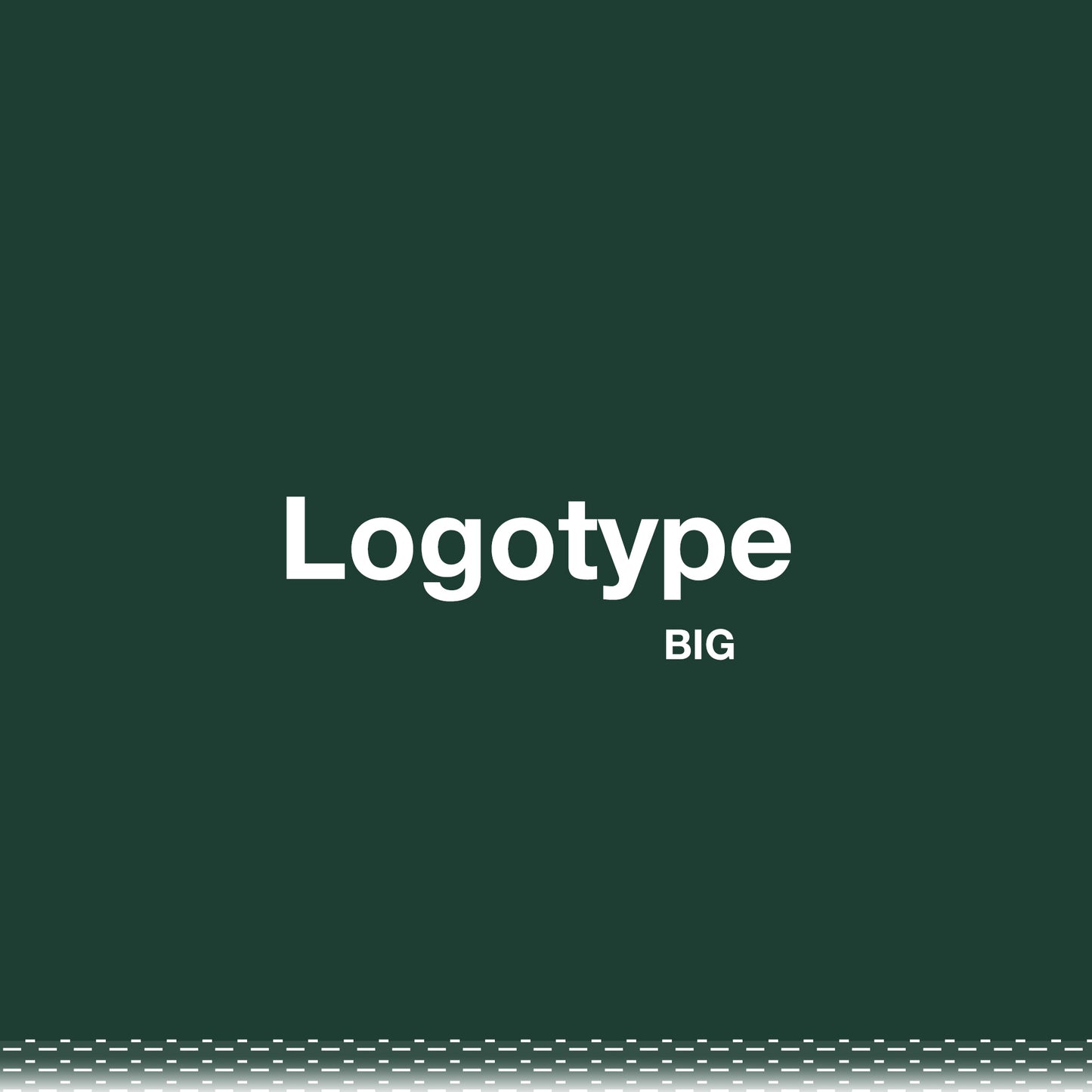 Logotype BIG (Branding)